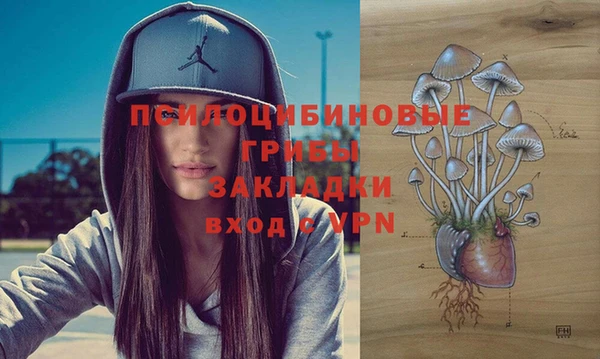 сатива Алексеевка