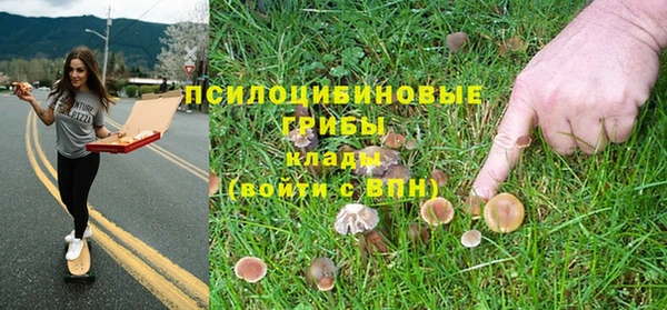 прущая мука Сафоново