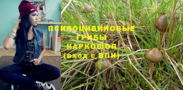 марки nbome Губаха