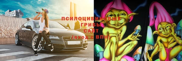 сатива Алексеевка