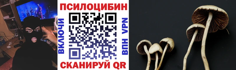 продажа наркотиков  Дно  Псилоцибиновые грибы ЛСД 